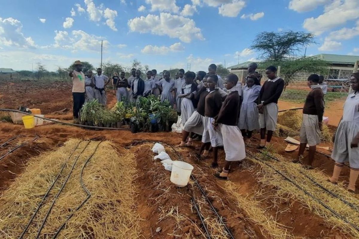 Thiong'o Gachie running the Naningoi school garden project.jpg